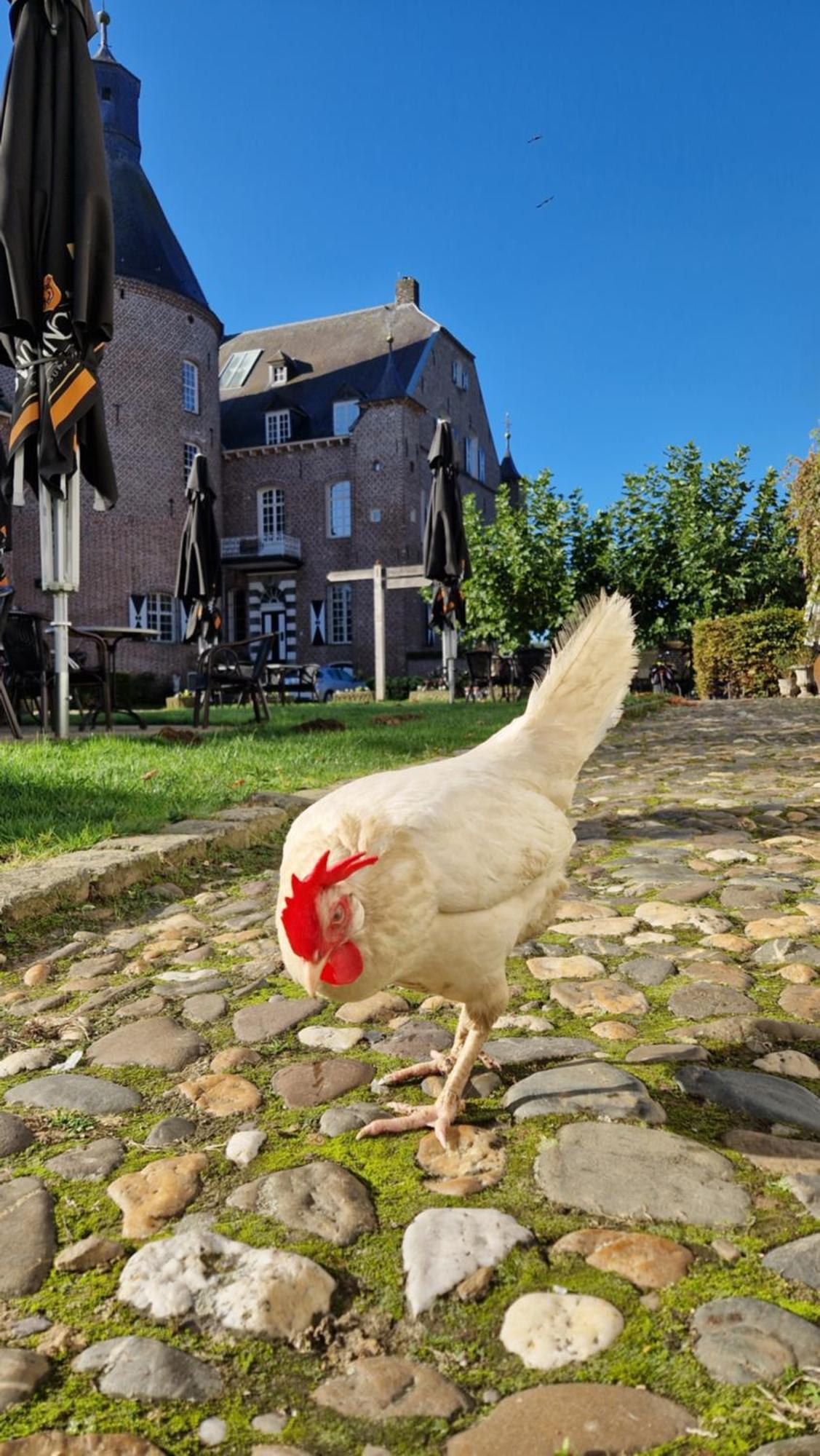 Bed and Breakfast Kasteel Aldenghoor Haelen Exteriér fotografie