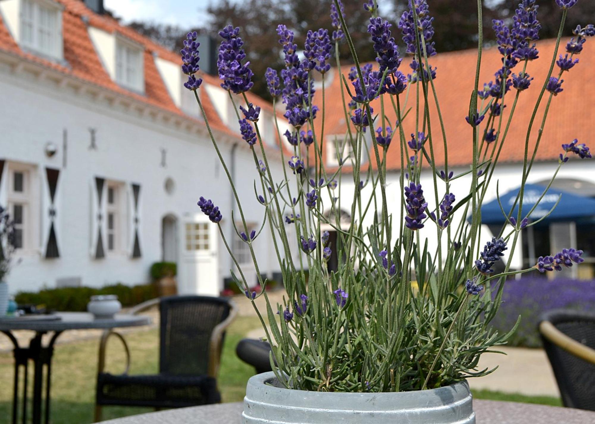 Bed and Breakfast Kasteel Aldenghoor Haelen Exteriér fotografie